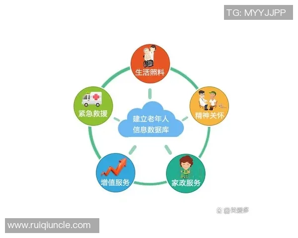 篮球魅力无限：从技巧提升到团队协作探索运动背后的精神与智慧